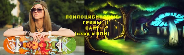 PSILOCYBIN Баксан