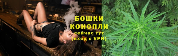 гидропоника Балахна