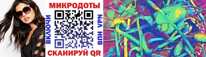 цена наркотик  Ногинск  Галлюциногенные грибы Cubensis 